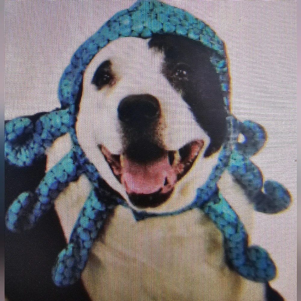 Blue Octopus Hat Costume for Dog Size Small to Medium NWOT